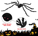 6 Pack Halloween Realistic Hairy Spiders Set