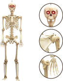 60in Life-Size Skeleton