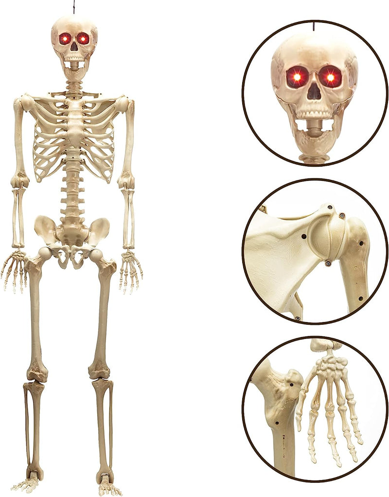 60in Life-Size Skeleton