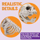 11in Tall Skeleton Puppy Plastic Figurine