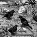 Halloween Crow Decoration Set, 6 Pack