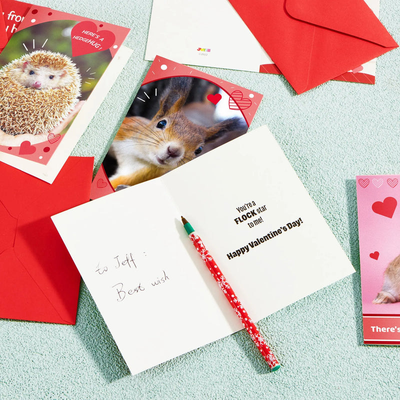 72Pcs Animal Valentines Day Greeting Card