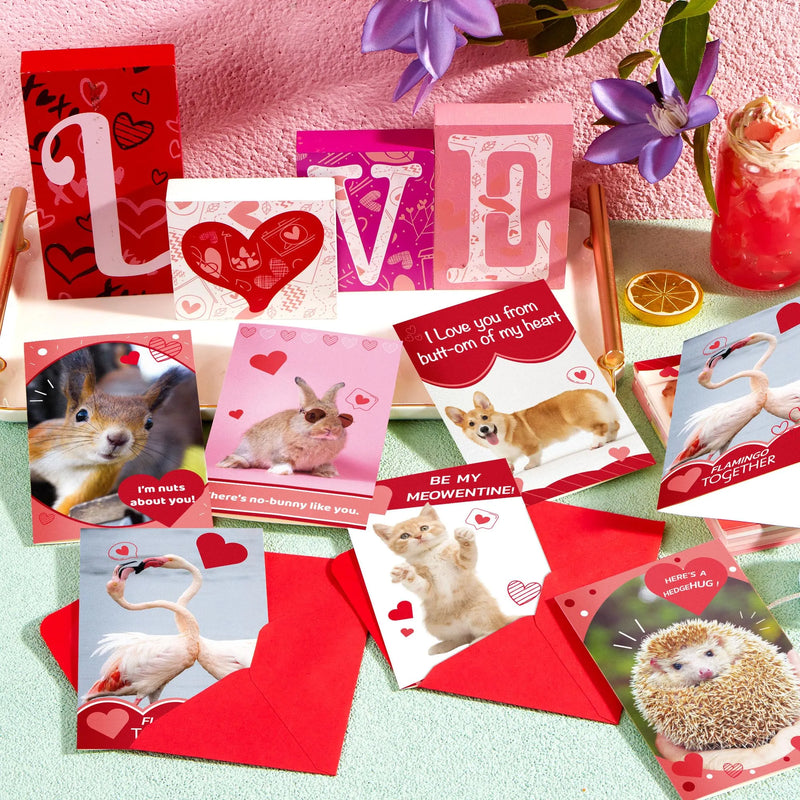 72Pcs Animal Valentines Day Greeting Card