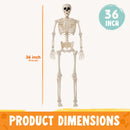 36" Halloween Skeleton Decor