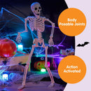 12 PCS 16" Halloween Skeleton Decor