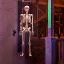60in Life-Size Skeleton