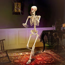 60in Life-Size Skeleton