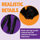 6 Pack Halloween Black Spider Set