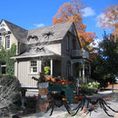 6 Pack Halloween Realistic Hairy Spiders Set