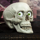 Skull Table Centerpiece Decoration