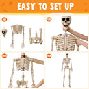 JOYIN 5 FT Posable Skeleton - Life Size Halloween Decoration