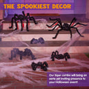 6 Pack Halloween Black Spider Set