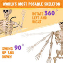 JOYIN 5 FT Posable Skeleton - Life Size Halloween Decoration