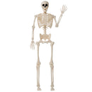 36" Halloween Skeleton Decor