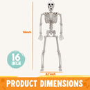 12 PCS 16" Halloween Skeleton Decor
