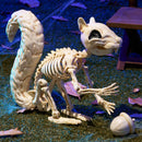 9.1 Inch Squirrel Skeleton Halloween Decoration