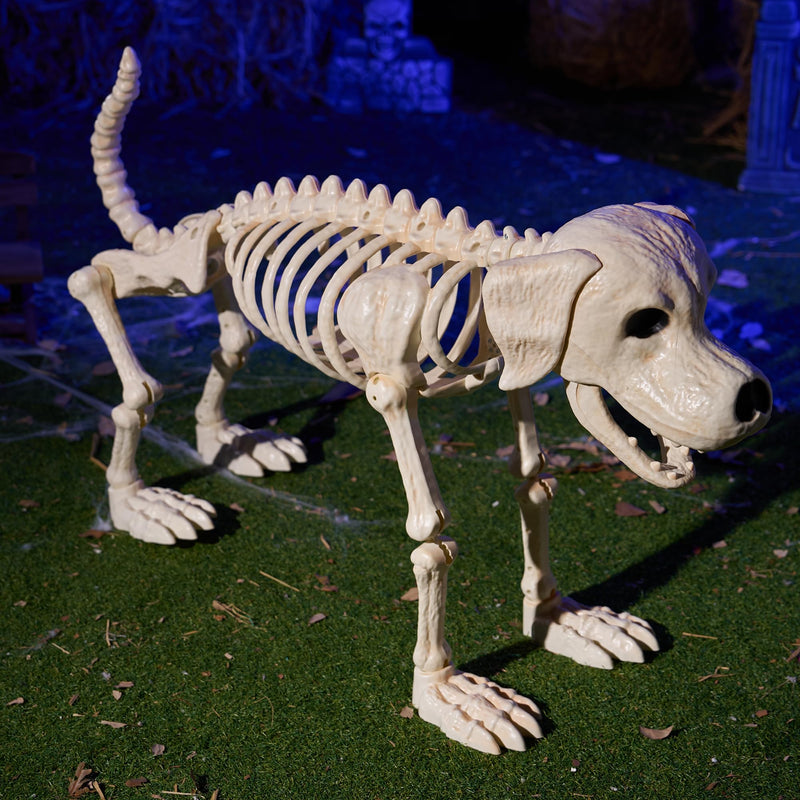 Halloween Golden Retriever Skeleton 40” Animal Dog