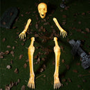 5 Pcs Halloween Skeleton Decorations Outdoor