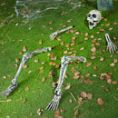 5 Pcs Life Size Skeleton Halloween Decorations Outdoor