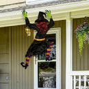 36.5in Witch Wall Climber