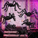 6 Pack Halloween Black Spider Set