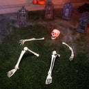 60in Life-Size Skeleton