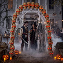 JOYIN 7.2 FT RGB Skull Archway - LED Halloween Outdoor Decoration