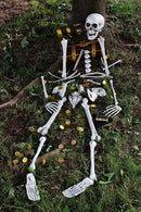 Box Of Skeleton Bones And Skull For Halloween Decorations