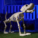 Halloween Golden Retriever Skeleton 34” Animal Dog
