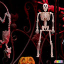 JOYIN 10 PCS 16 Inches Halloween Hanging Skeletons Full Body Skeletons