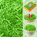 JOYIN 0.5LB Light Green Recyclable Easter Grass Crinkle Paper Shred