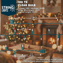 JOYIN 100-Count Clear Mini Christmas String Lights (19.4 ft, Green Wire)