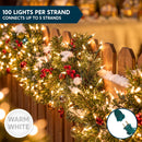 JOYIN 100-Count Clear Mini Christmas String Lights (19.4 ft, Green Wire)
