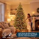 JOYIN 100-Count Clear Mini Christmas String Lights (19.4 ft, Green Wire)