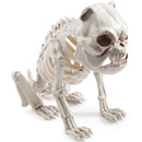 JOYIN 11in Halloween Skeleton Plastic Dog with Posable Joints