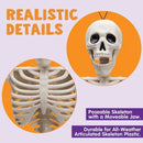 2 PCS 16 Inch Halloween Skeletons Full Body Posable Joints Skeletons