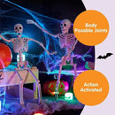 2 PCS 16 Inch Halloween Skeletons Full Body Posable Joints Skeletons