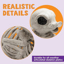 JOYIN 2 PCS 4.5inHalloween Duck Skeleton Plastic Bones
