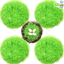 JOYIN 32oz Light Green Plastic Easter Grass