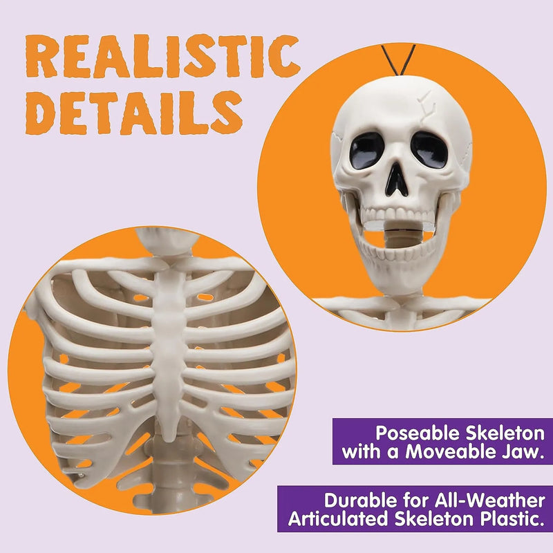 JOYIN 3Pcs 16in Halloween Hanging Skeletons Full Body Movable Posable Joints Plastic Bones