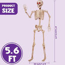 JOYIN 5.6 ft Halloween Life-Size Posable Skeleton with LED Glowing Eyes
