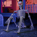 JOYIN 5.6 ft Halloween Life-Size Posable Skeleton with LED Glowing Eyes