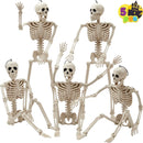 5 PCS Posable Halloween Skeletons 16 Inches Full Body Posable Joints
