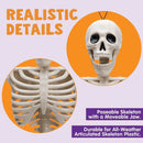 5 PCS Posable Halloween Skeletons 16 Inches Full Body Posable Joints