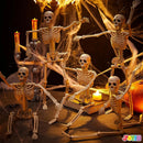 5 PCS Posable Halloween Skeletons 16 Inches Full Body Posable Joints