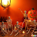 5 PCS Posable Halloween Skeletons 16 Inches Full Body Posable Joints