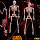 5 PCS Posable Halloween Skeletons 16 Inches Full Body Posable Joints