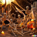 5 PCS Posable Halloween Skeletons 16 Inches Full Body Posable Joints