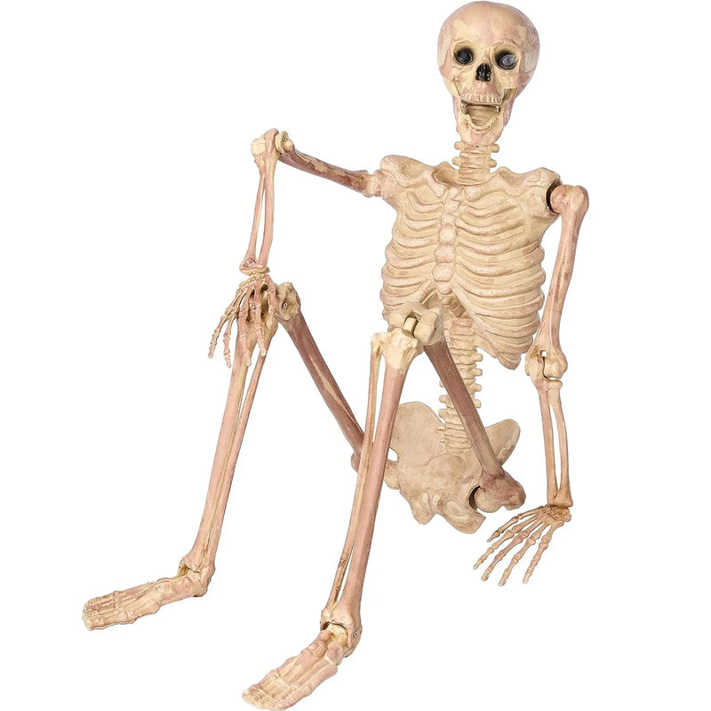 JOYIN Halloween 63 Inches Skeleton Full Body Posable