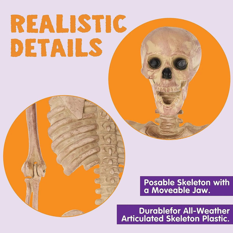 JOYIN Halloween 63 Inches Skeleton Full Body Posable